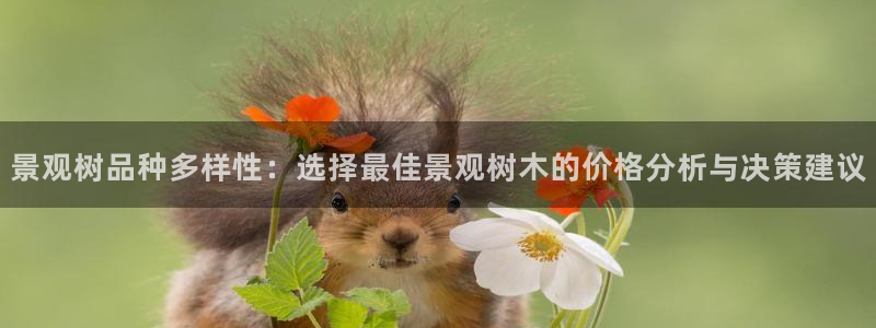 泉州摩根娱乐
