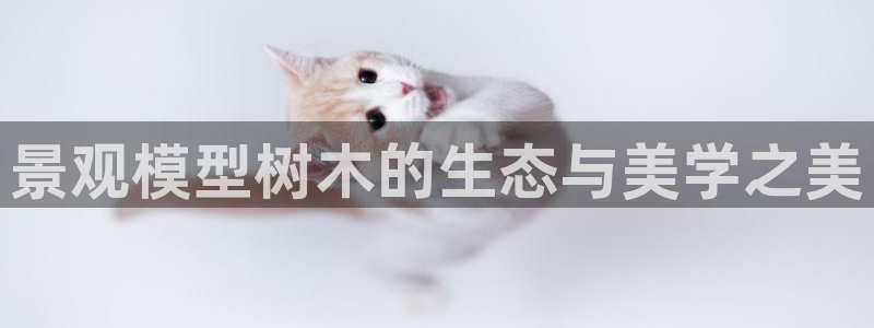 摩根娱乐视频大全