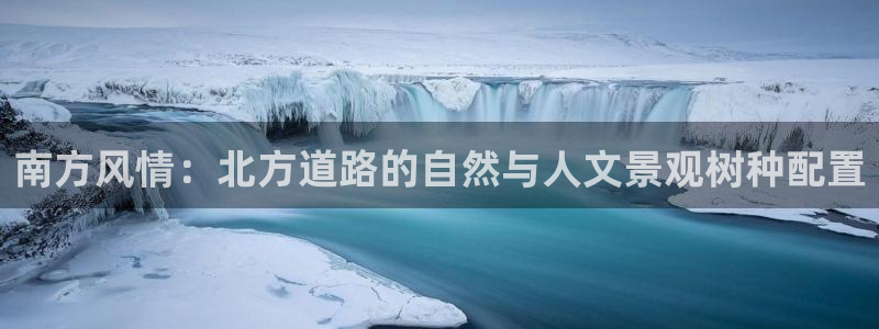 白宫摩根娱乐场所