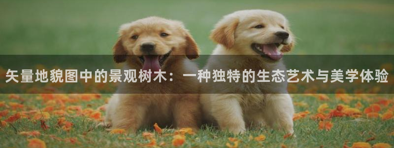 摩根娱乐宝是什么东西
