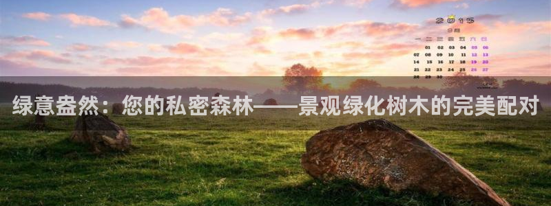 泉州摩根会娱乐