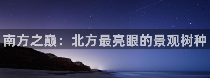 摩根娱乐信益怎么样