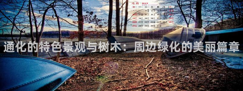 微信里面摩根娱乐宝