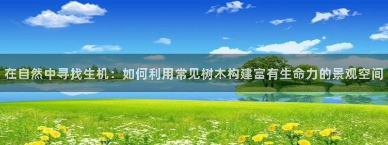 摩根娱乐宝口碑：在自然中寻找生机：如何利用常见树木构建富有生命力的景观空间