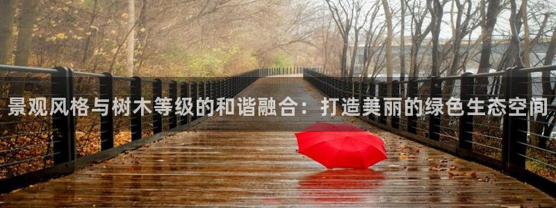 摩根娱乐套路